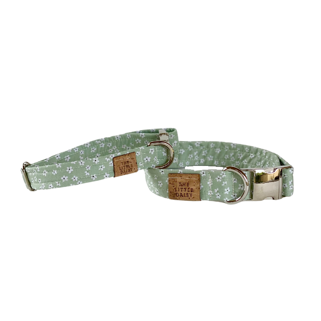 Petal Pups Collar