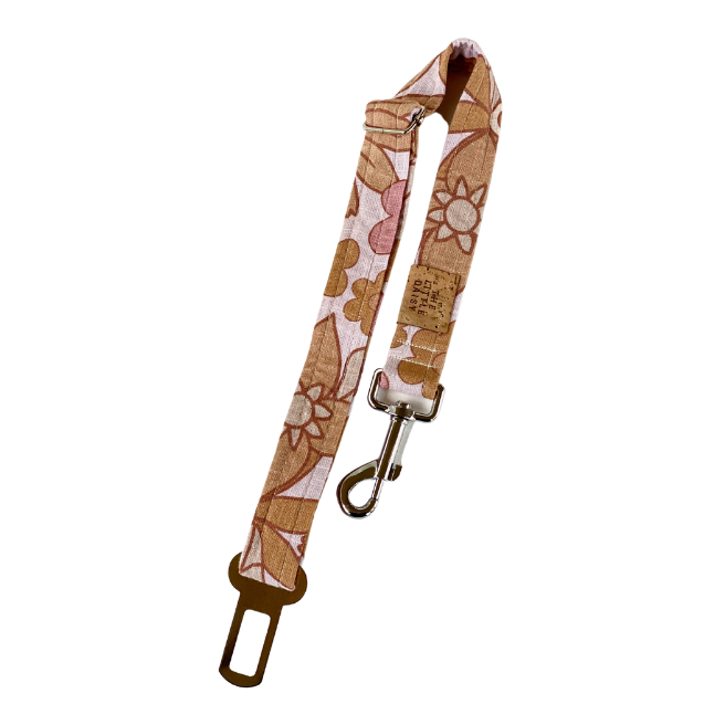 The Bindi Car Restraint