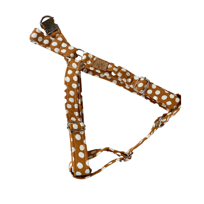 Pretty Polka Harness