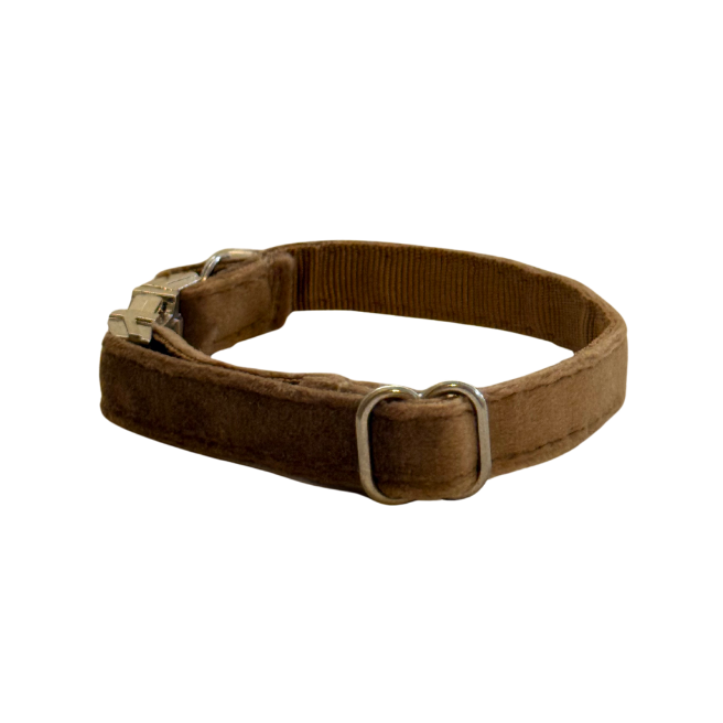 Brown Cat Collar