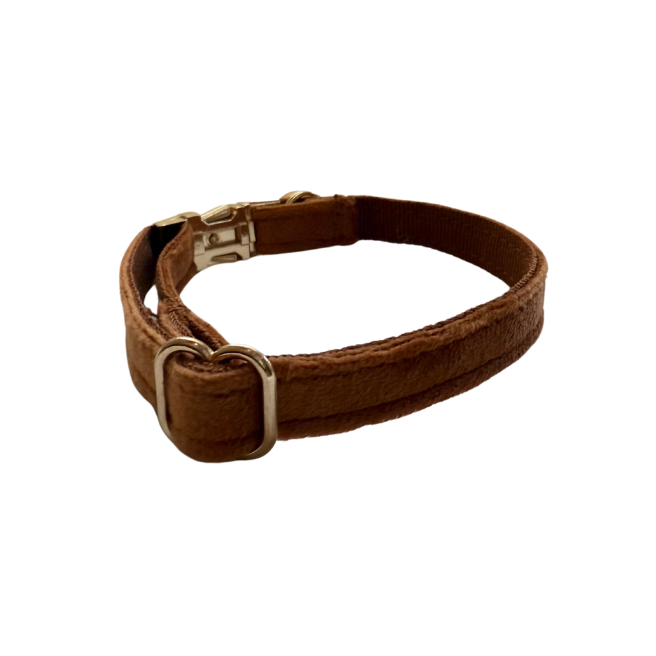 Rust Cat Collar