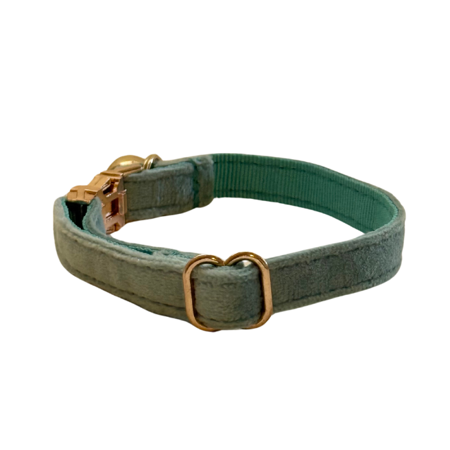 Aqua Cat Collar