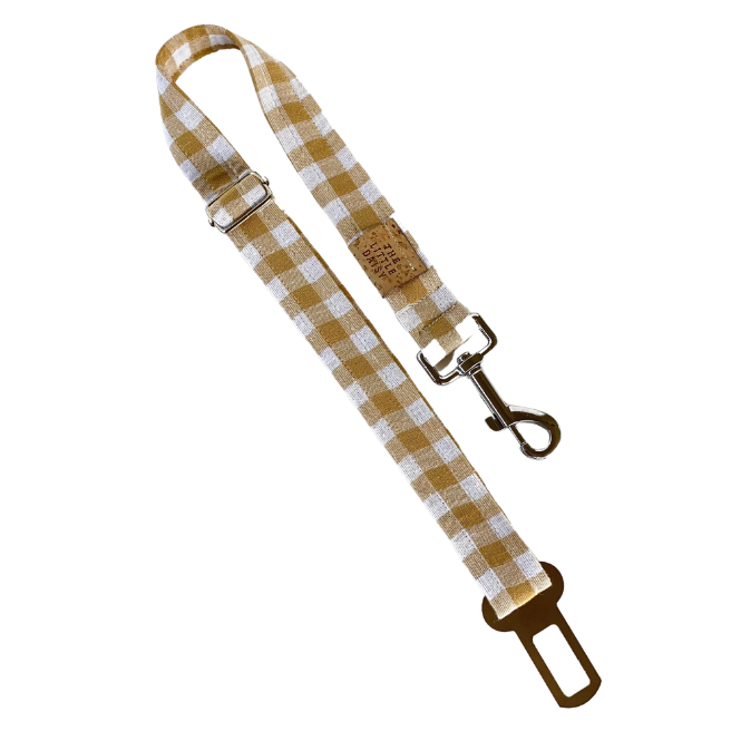 Check Yourself Car Restraint