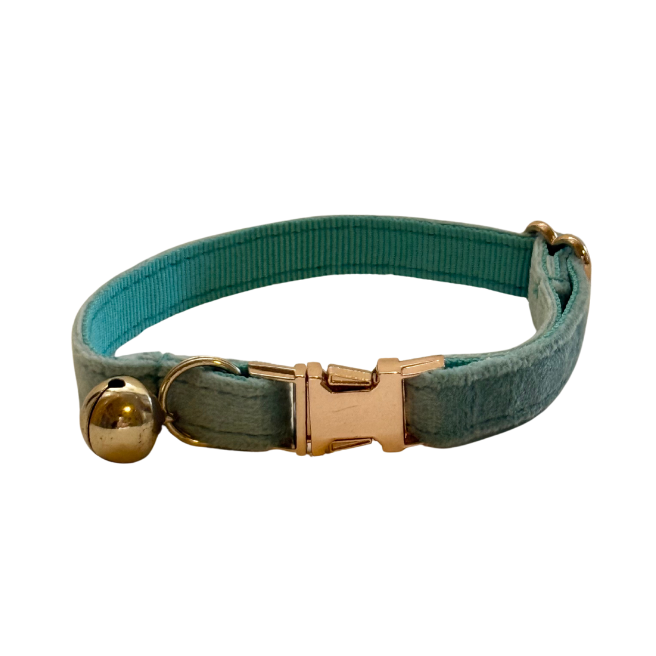 Aqua Cat Collar