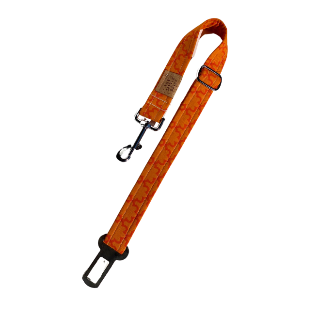 That's a Vibe Car Restraint