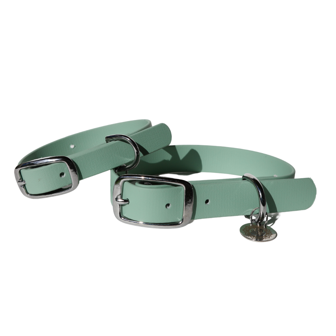 Biothane Mint Collar
