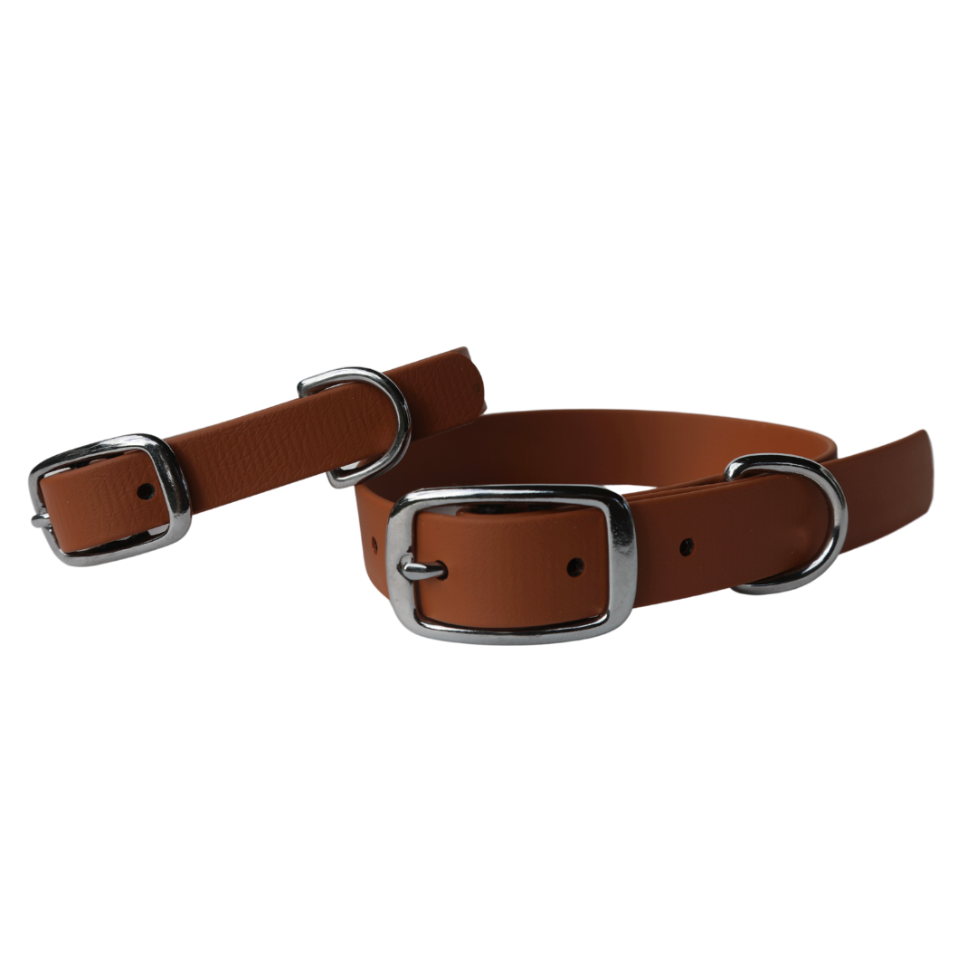 Biothane Hazel Collar