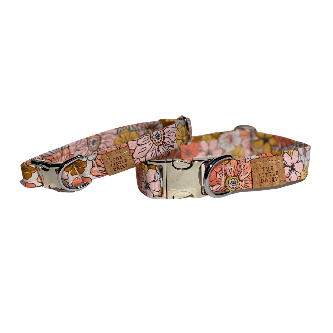 Brat Summer Collar