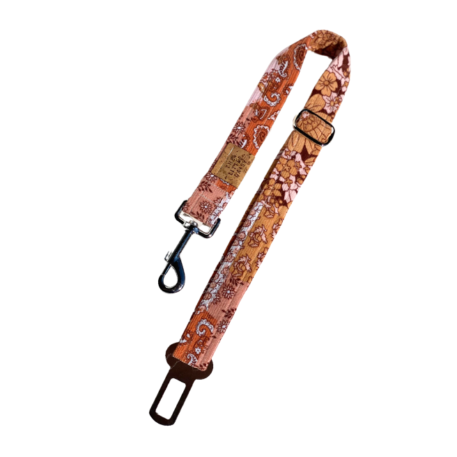 Spring Fling Car Restraint