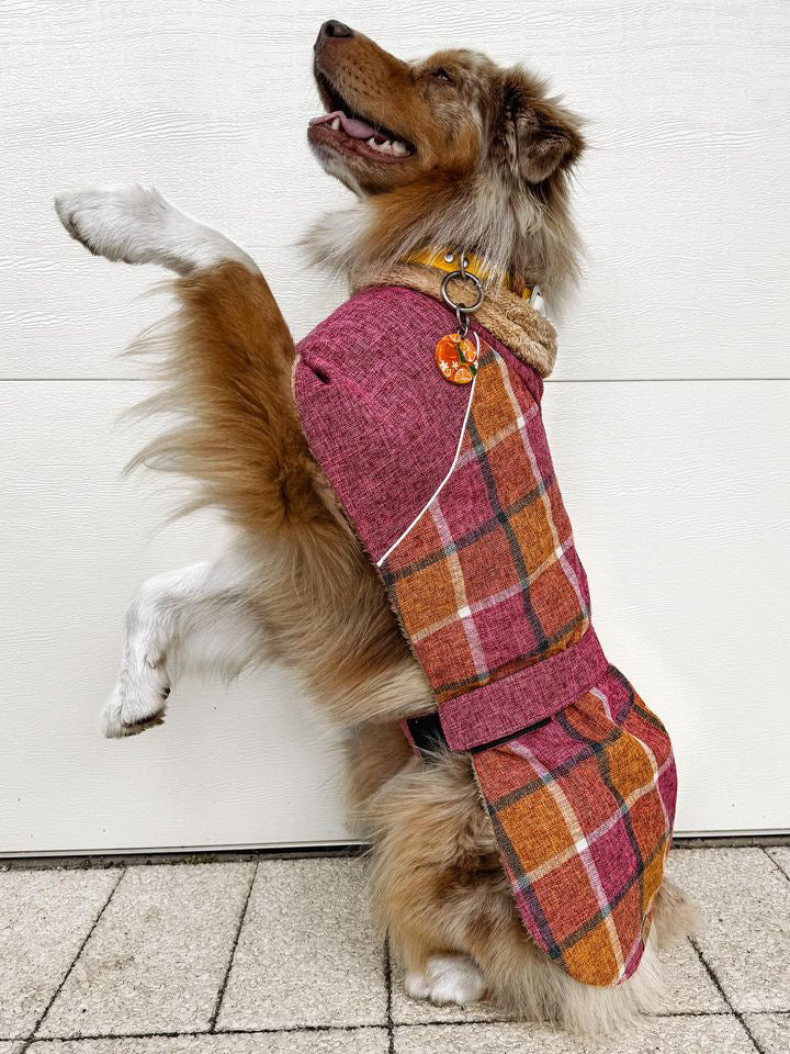 Blushing Dog Jacket