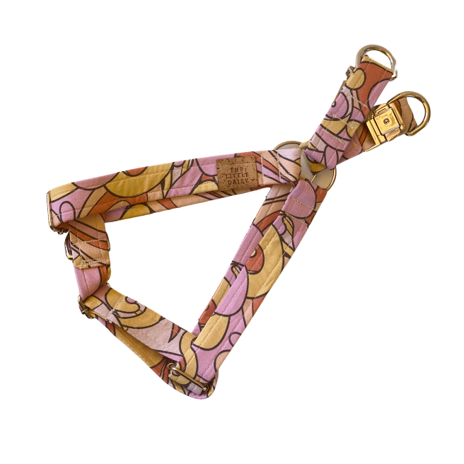 Swirls For The Girls Harness