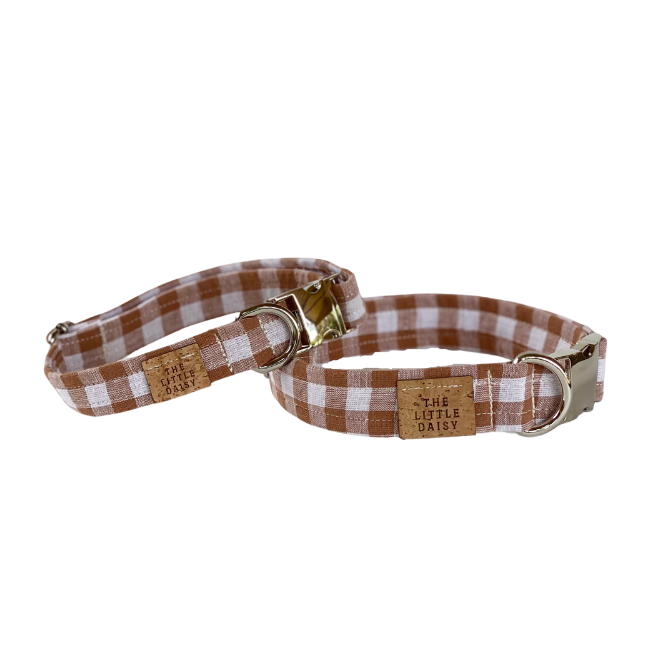 Howdy Boy Collar