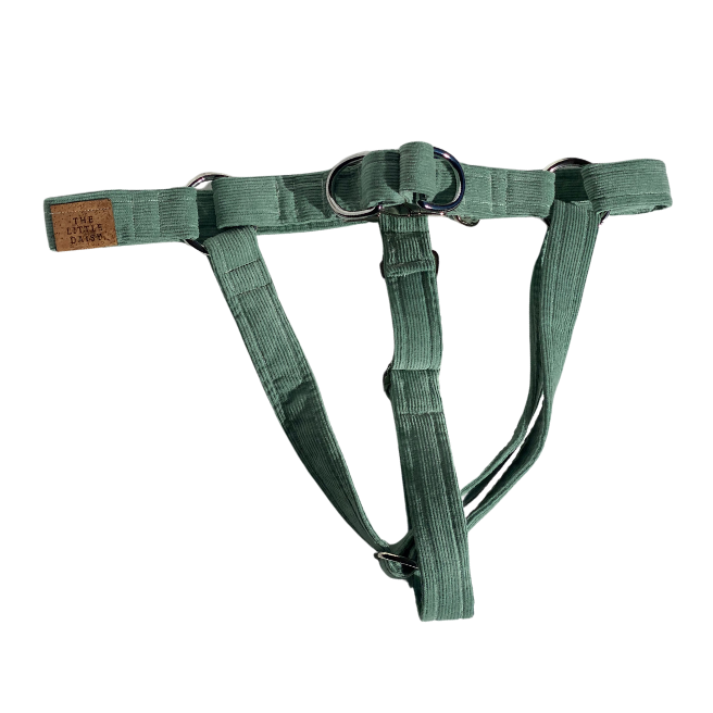 Sea Foam Harness