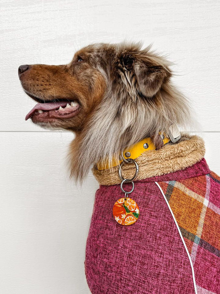 Blushing Dog Jacket