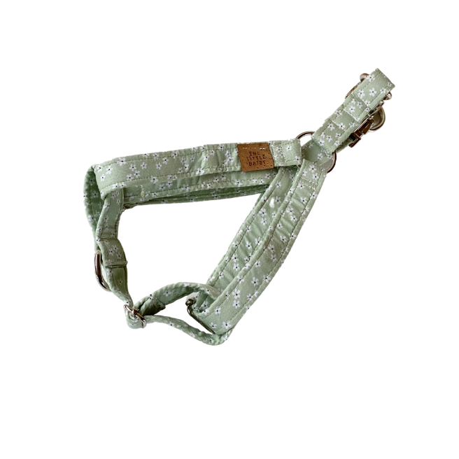 Petal Pups Harness