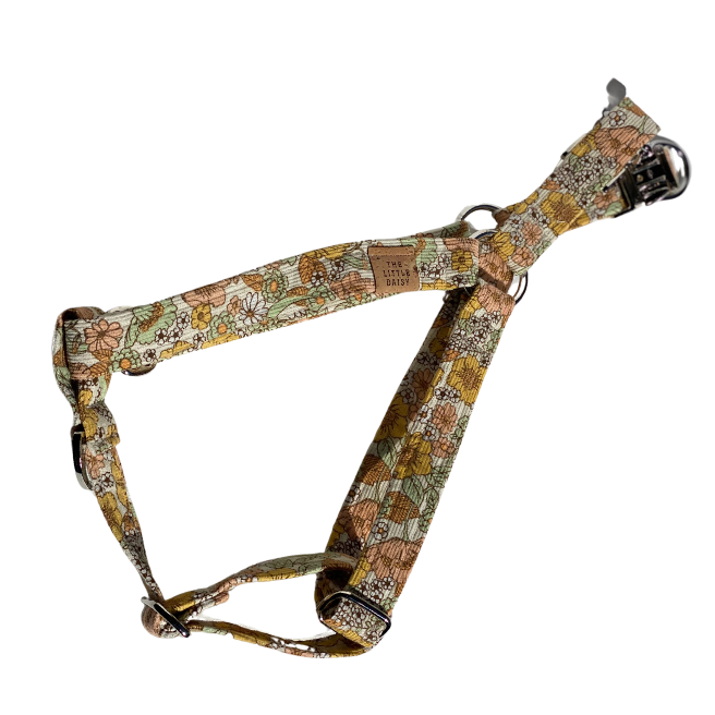 Woodstock Harness