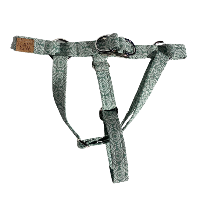 Jacky Harness