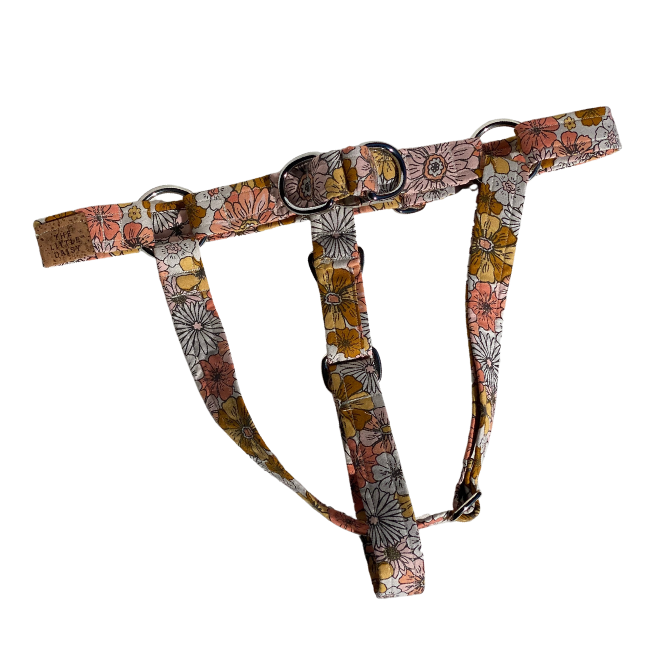 Brat Summer Harness
