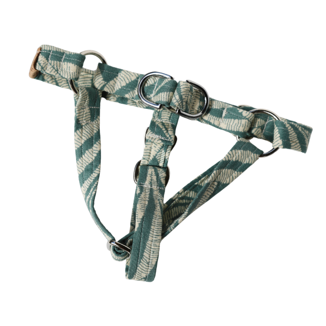 Sage Harness