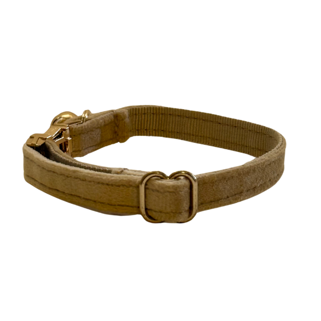 Cream Cat Collar