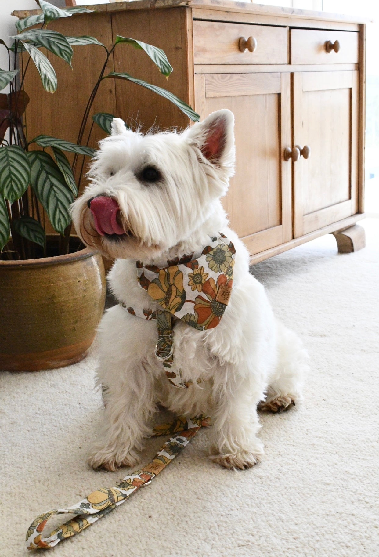 Boho Babe Harness