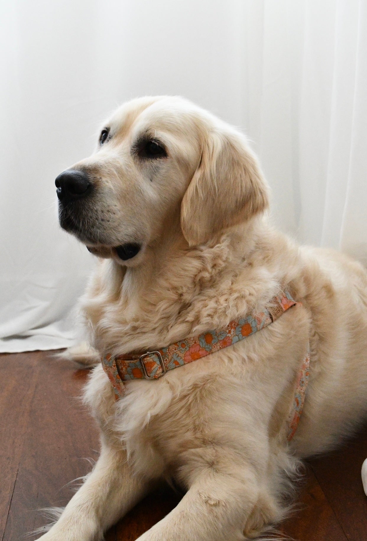 Bloomy Days Harness
