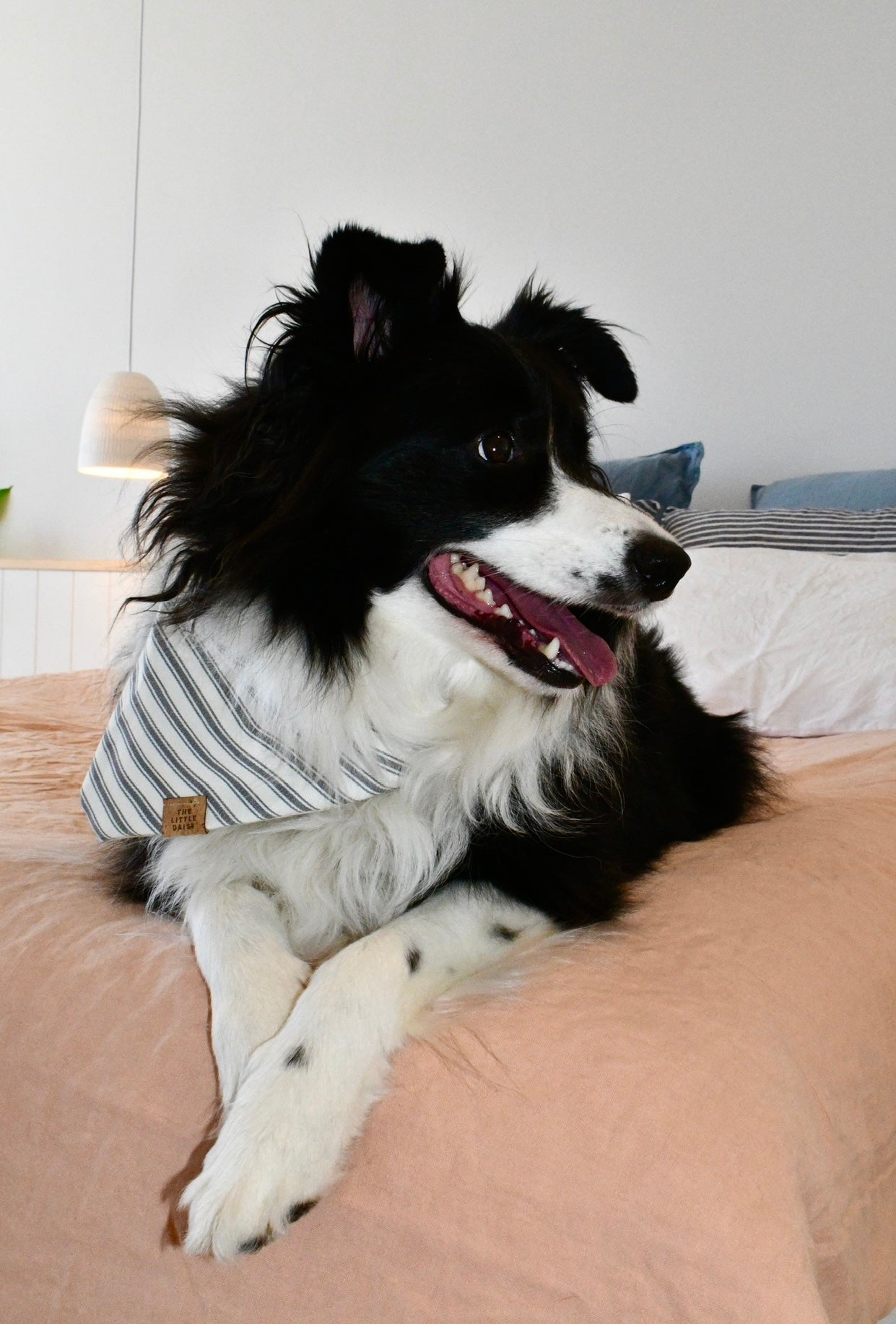 The Marley Bandana