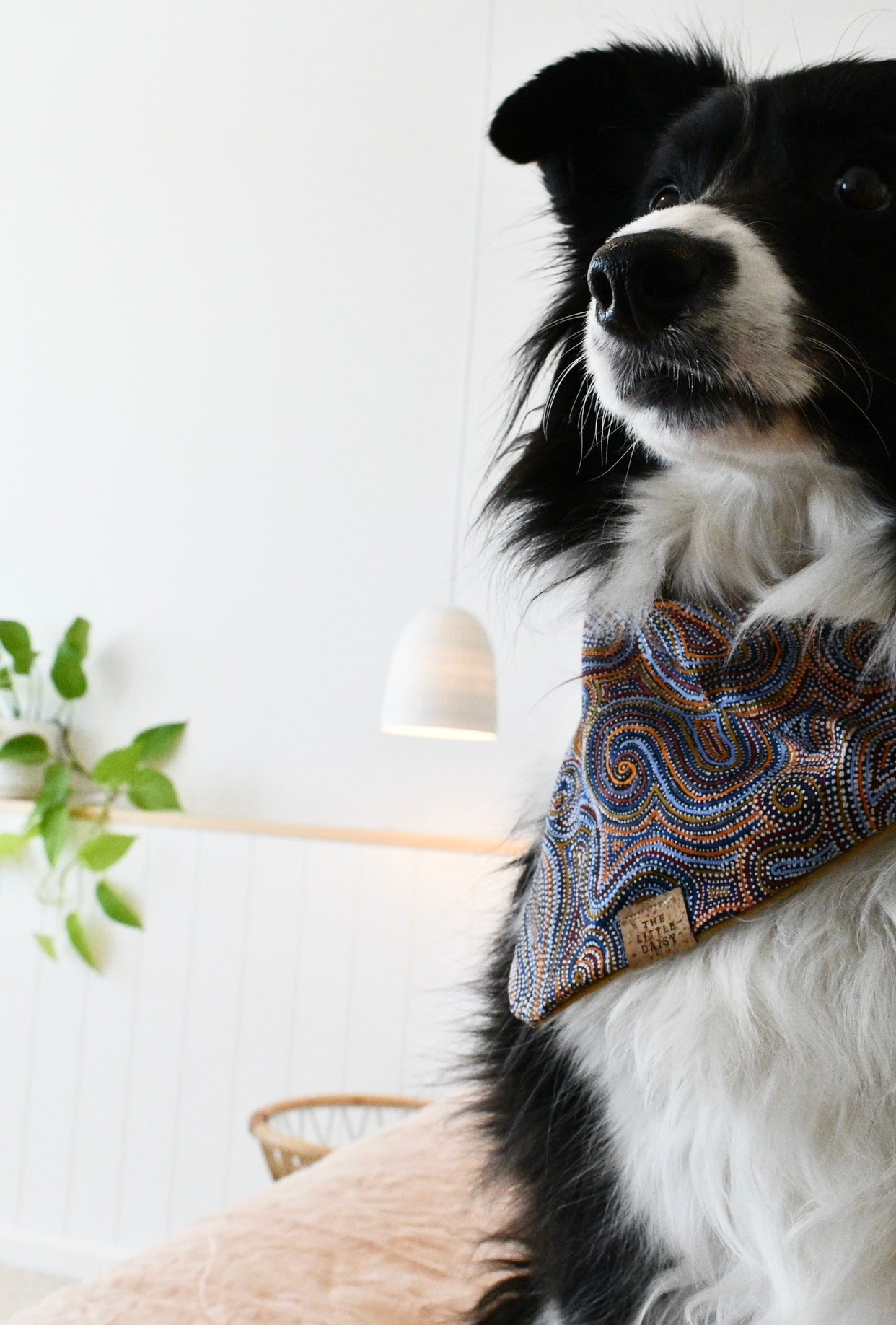My Maliki Bandana