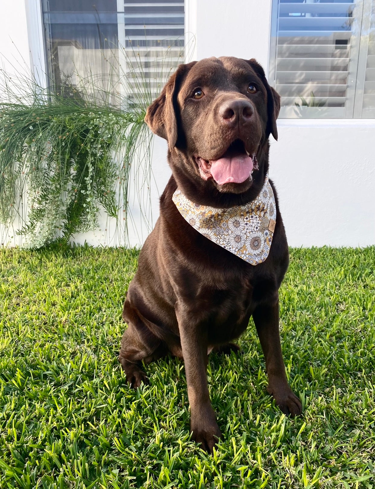 Maggie Bandana