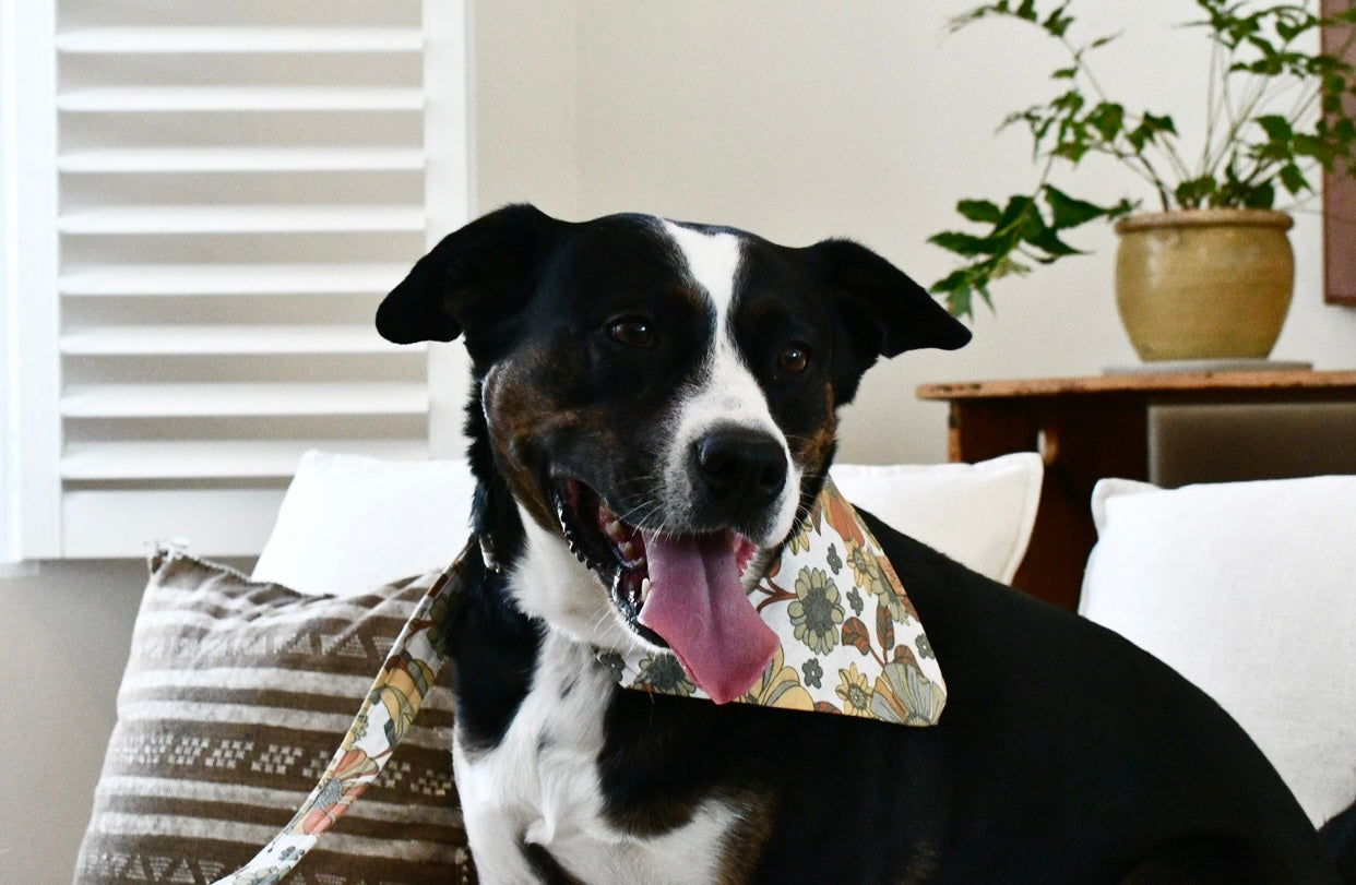 Boho Babe Bandana