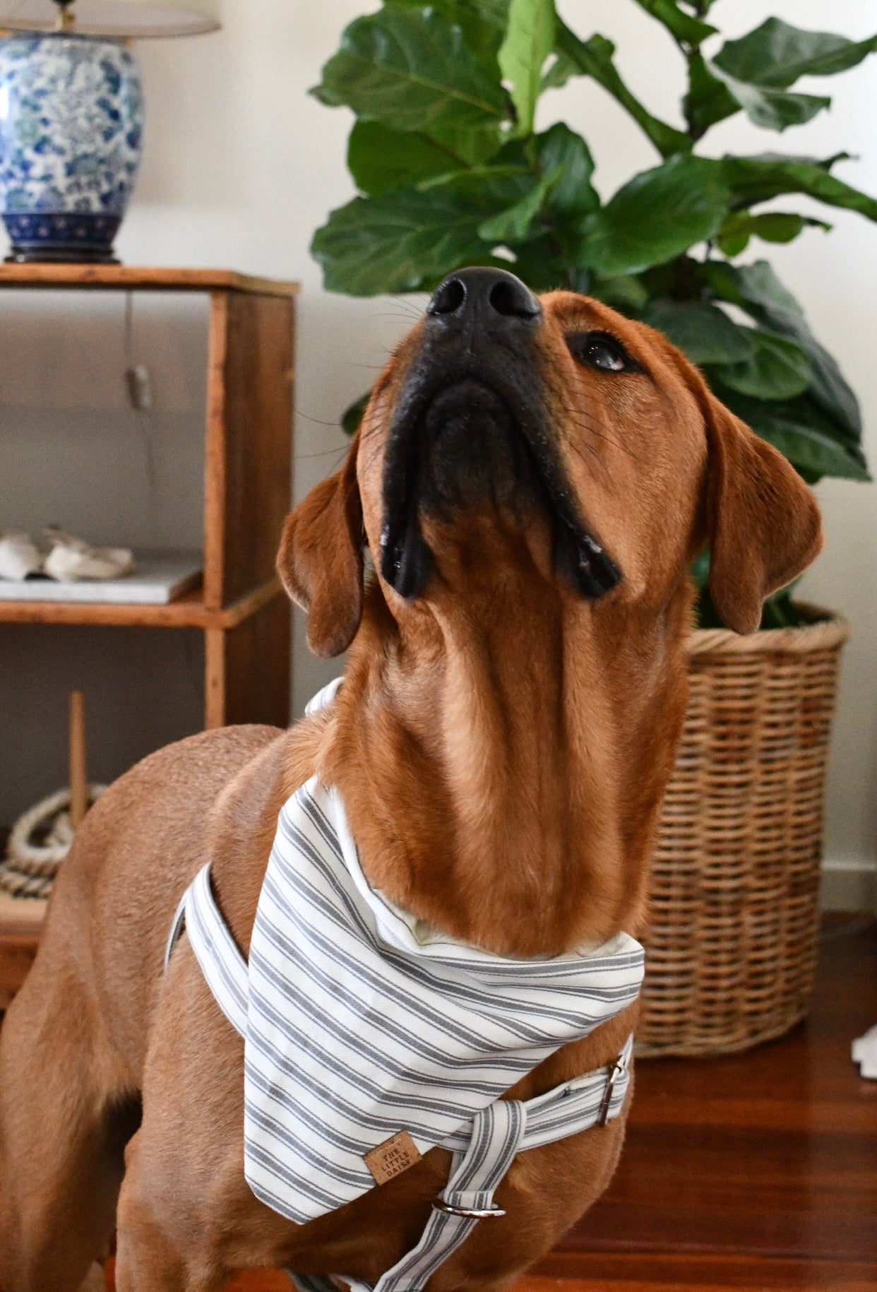 The Marley Bandana