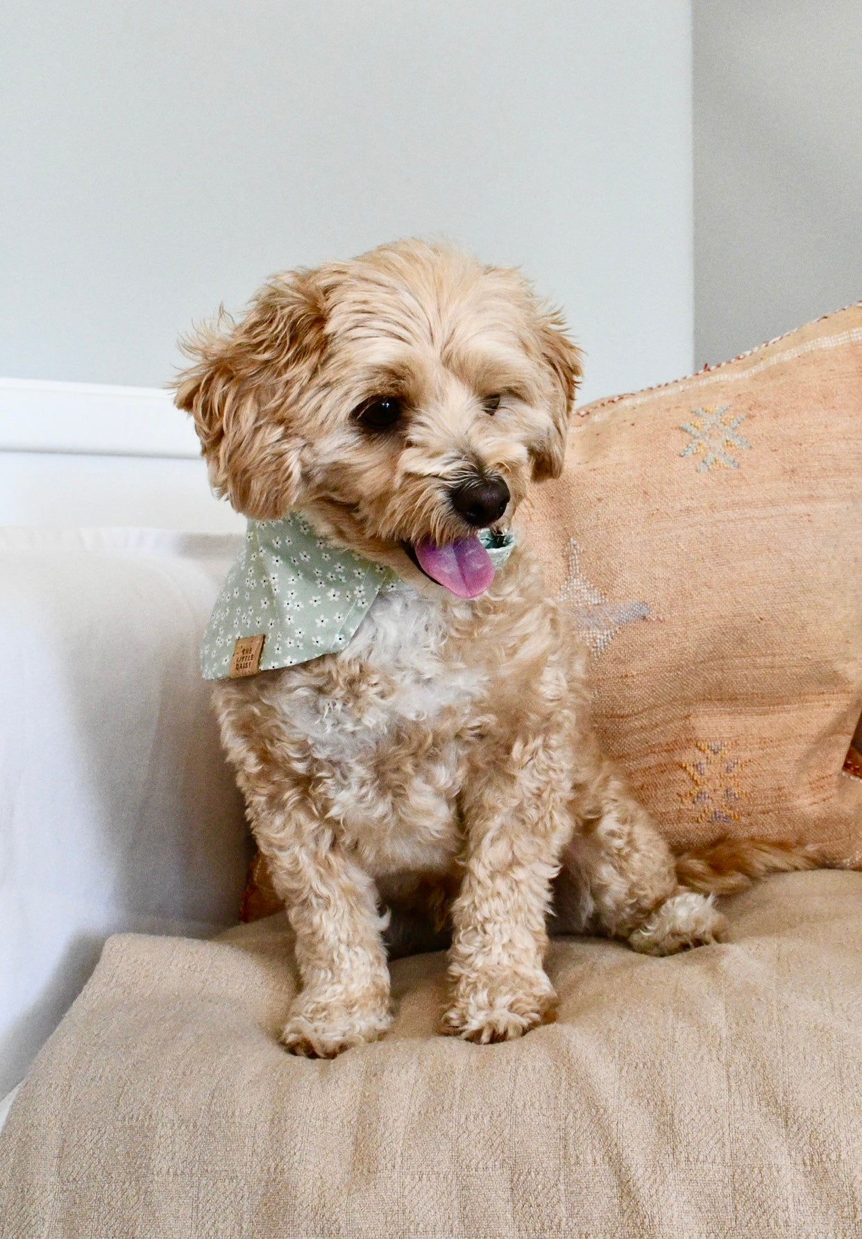 Petal Pups Bandana