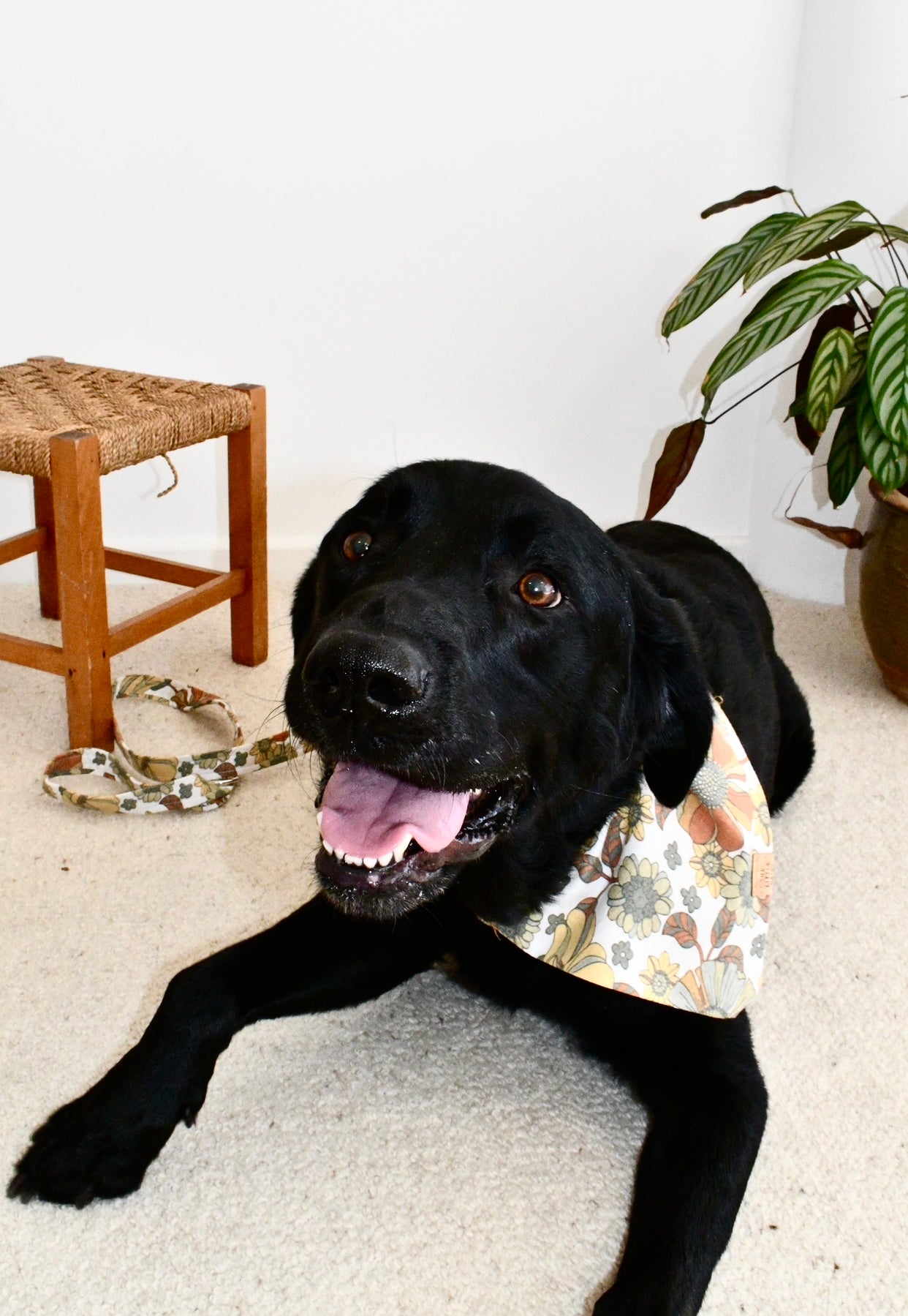Boho Babe Bandana