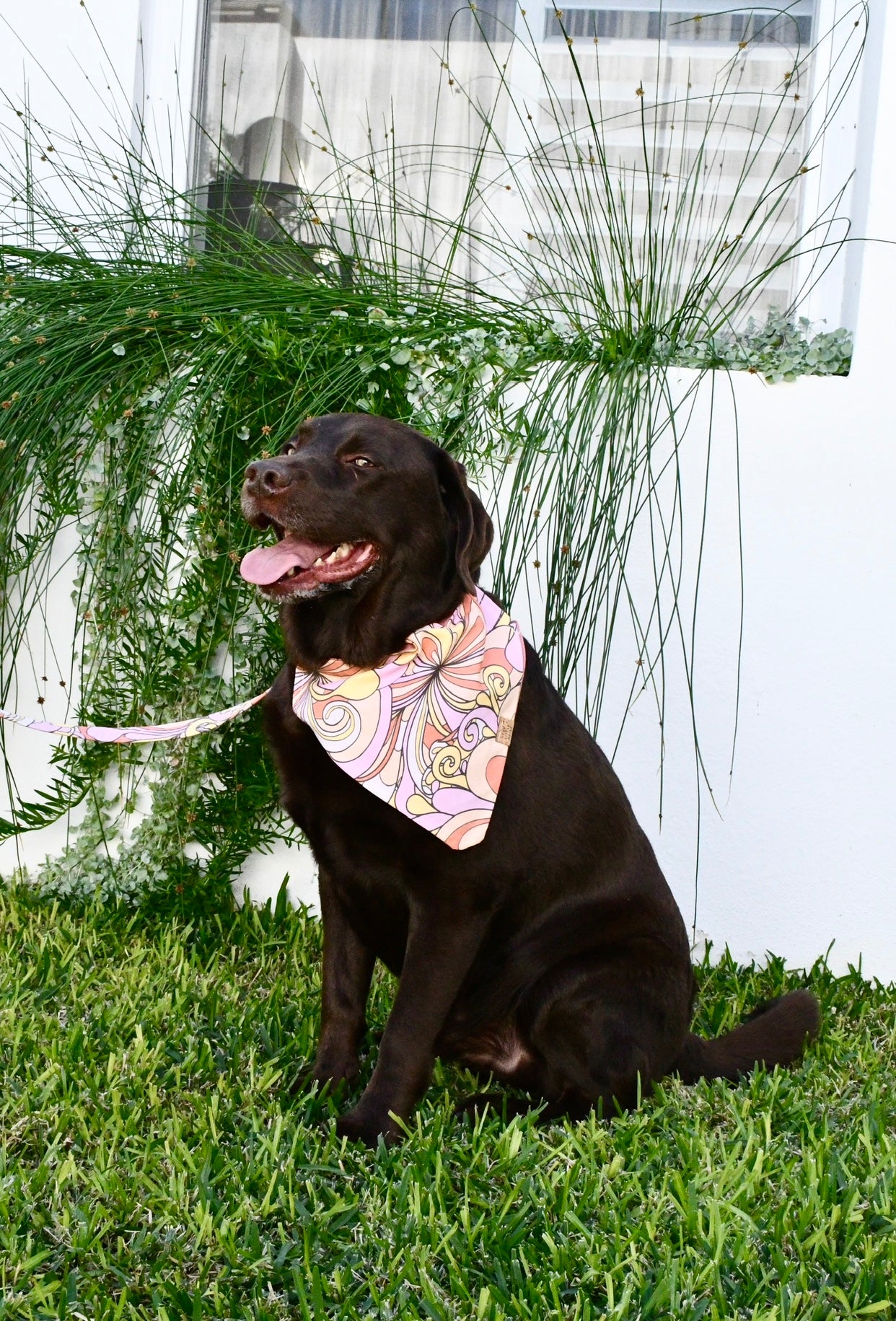 Swirls For The Girls Bandana