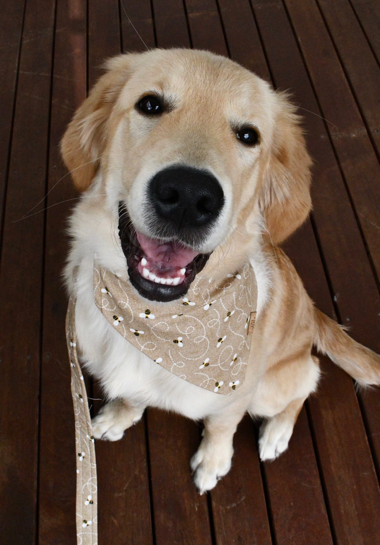 Bee-utiful Bandana