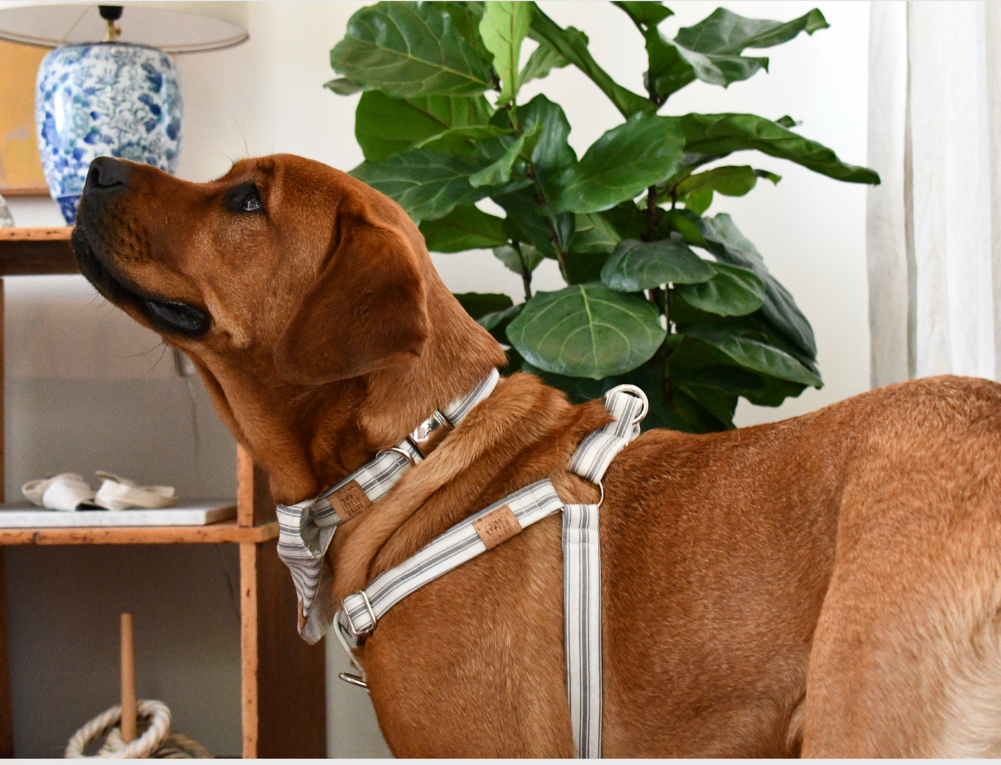 The Marley Harness