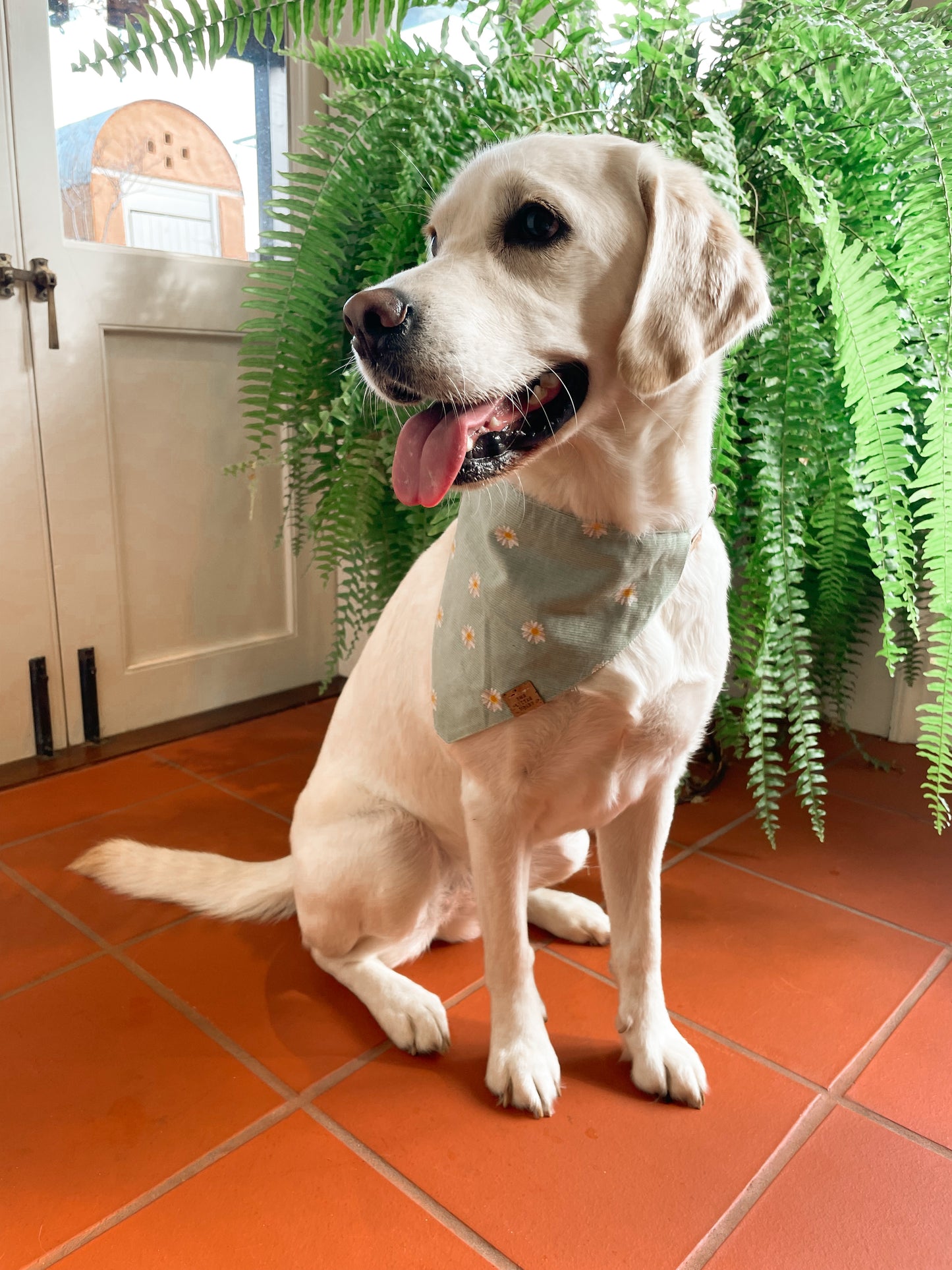 Daisy Dreams Bandana