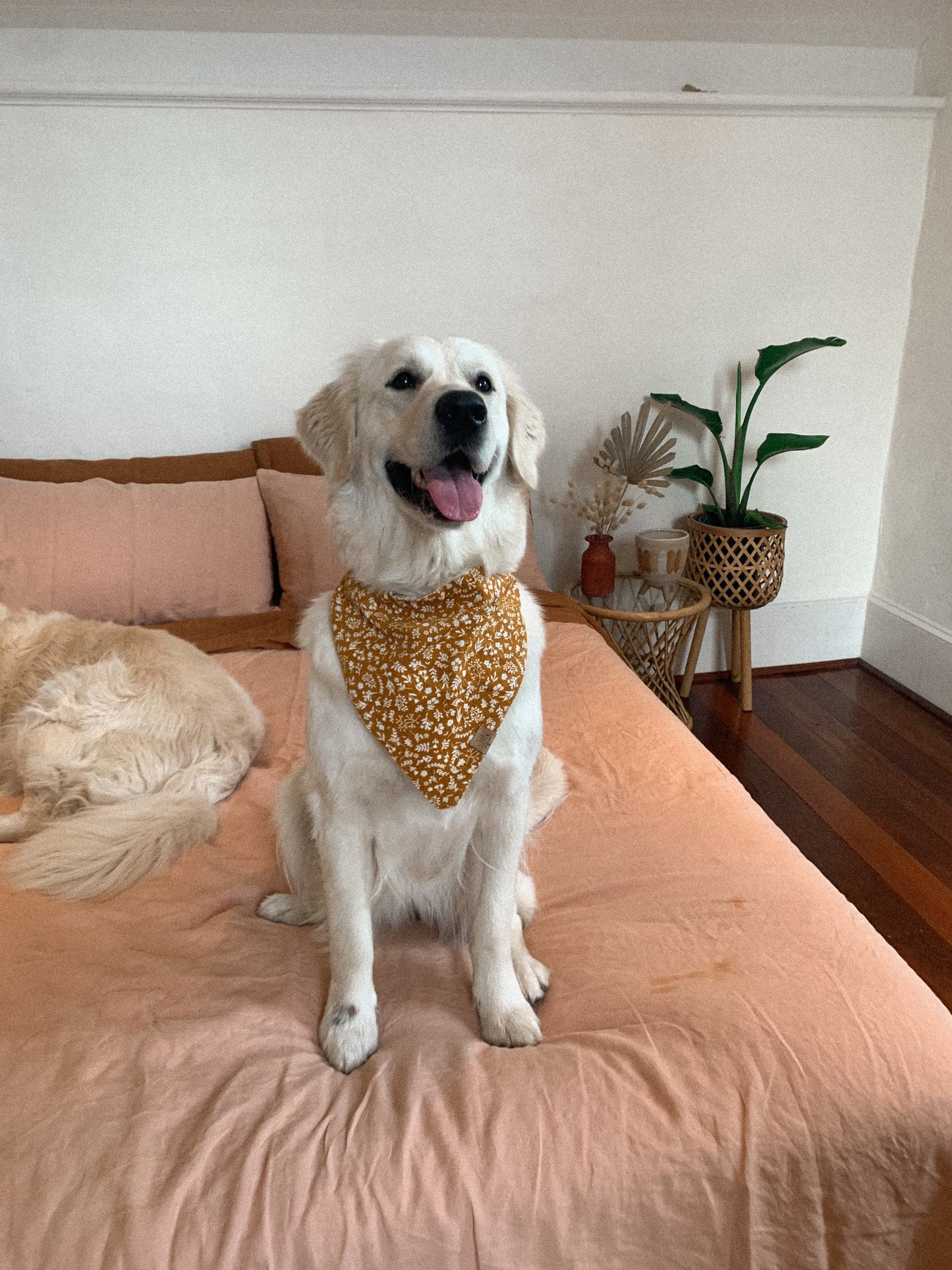 Sunny Days Bandana
