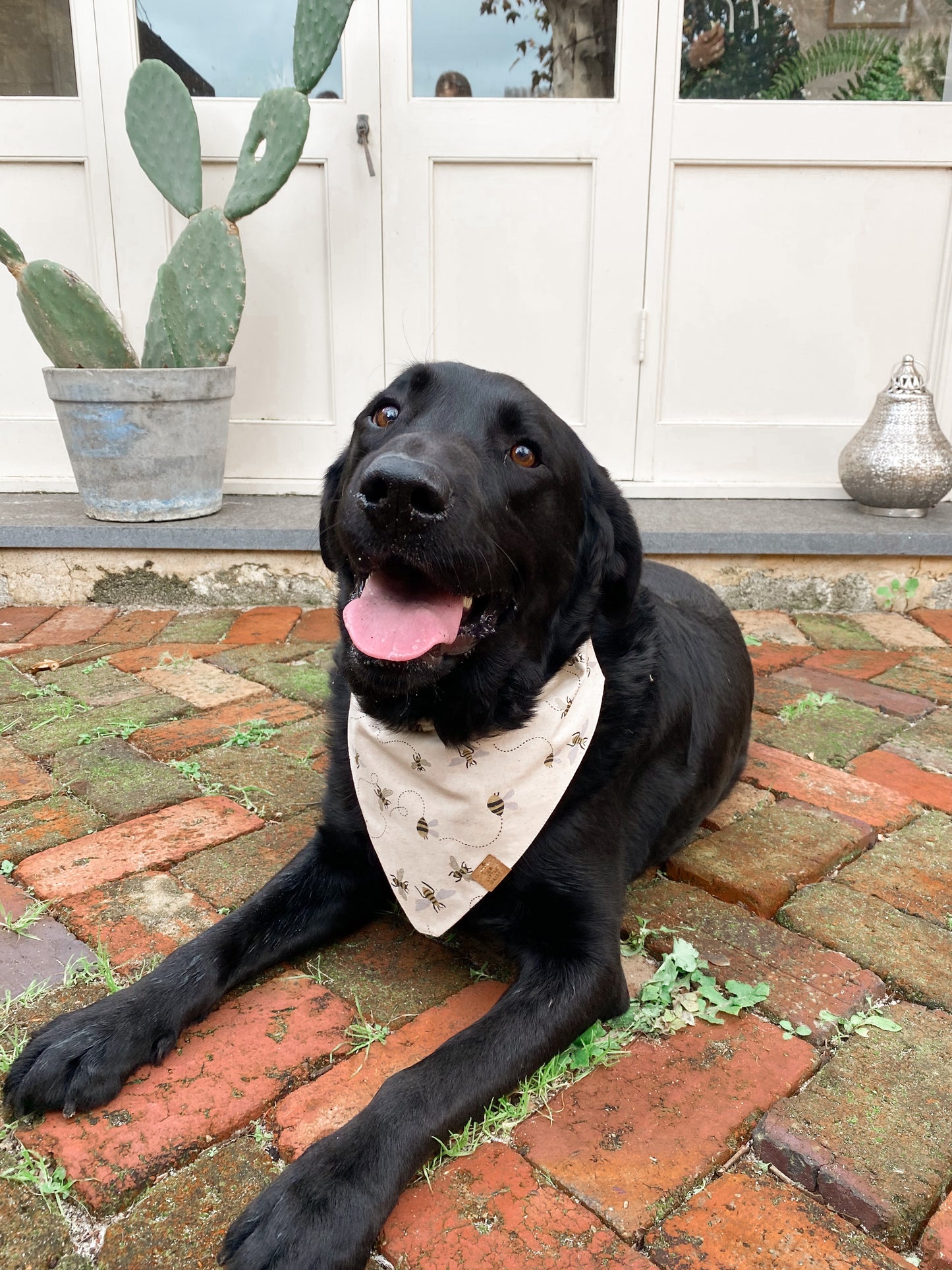 Busy Bee Bandana