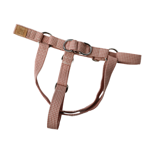 Checks & Chic Harness