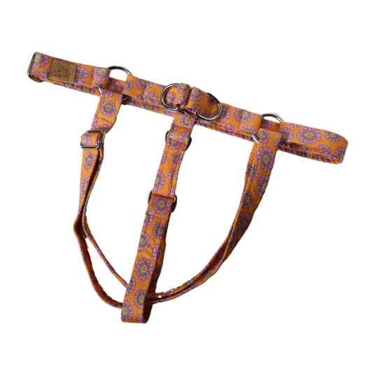 Tangerine Dream Harness