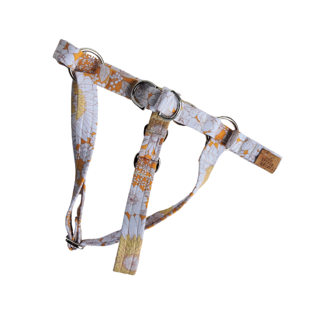 The Daisy Harness