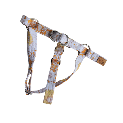 The Daisy Harness