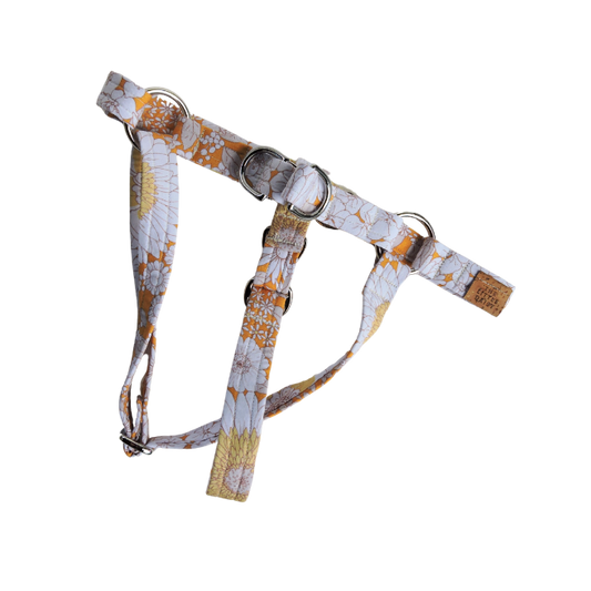 The Daisy Harness
