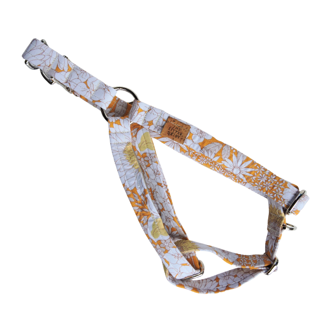 The Daisy Harness