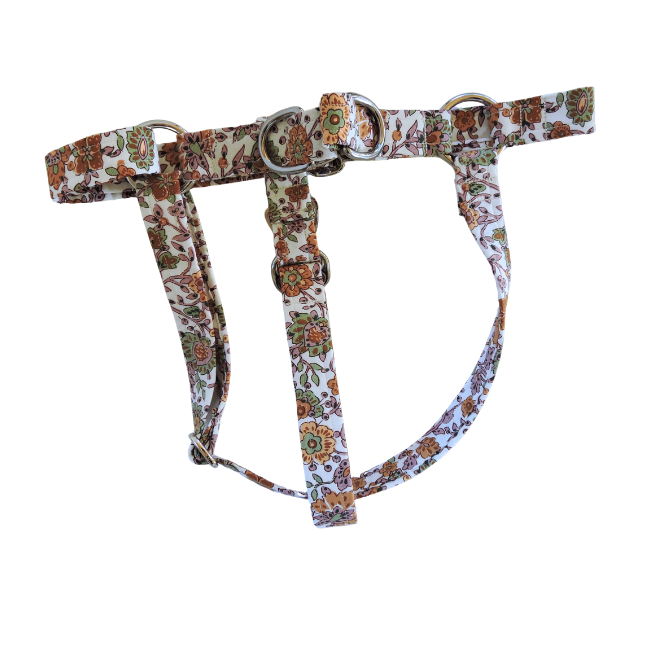 Paisley Passion Harness