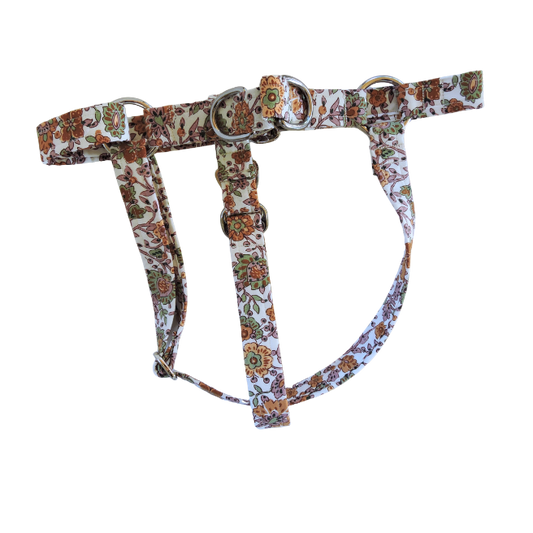 Paisley Passion Harness