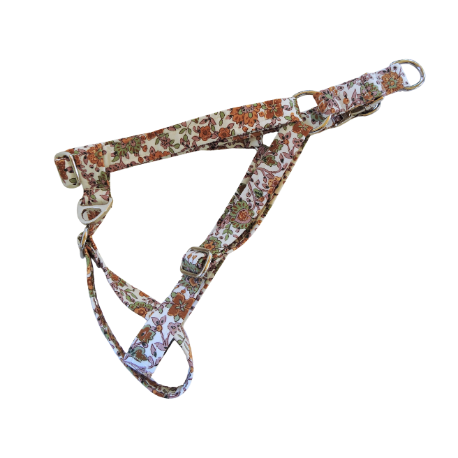 Paisley Passion Harness