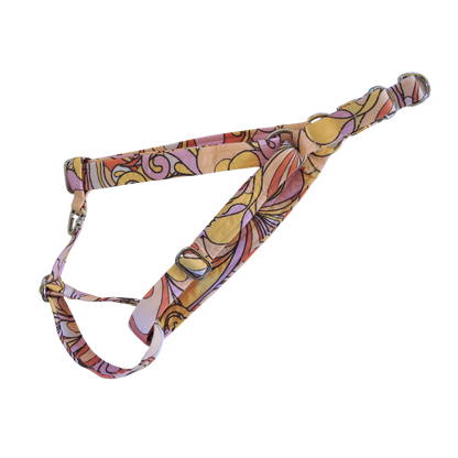 Swirls For The Girls Harness