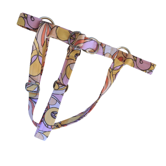 Swirls For The Girls Harness